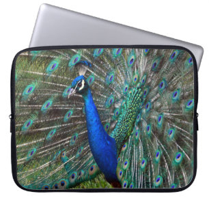 Colourful male peacock laptop sleeve
