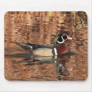 Colourful Male Wood Duck Mouse Pad