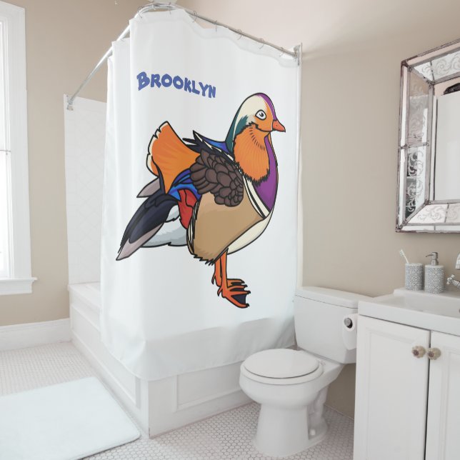 Colourful mandarin duck illustration  (In Situ)