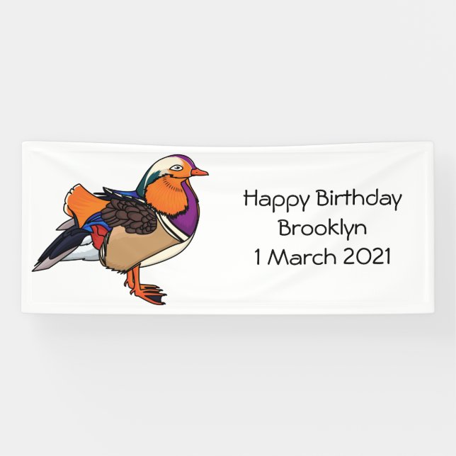 Colourful mandarin duck illustration banner (Horizontal)