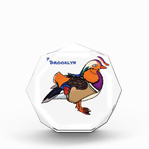 Colourful mandarin duck illustration  photo block