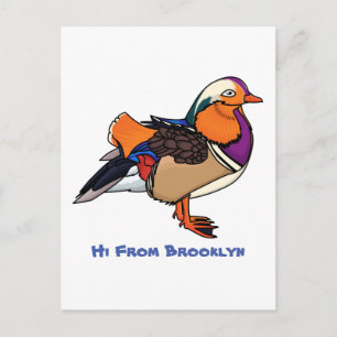 Colourful mandarin duck illustration postcard