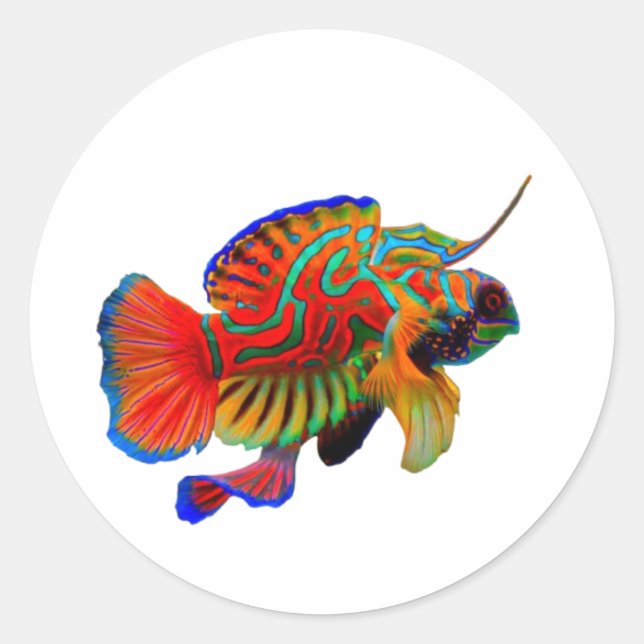 ​Colourful Mandarinfish Die-Cut Decal - Exotic Ree Classic Round Sticker (Front)