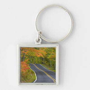 Colourful maple trees in autumn line scenic keychain