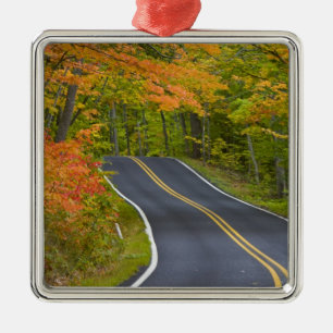 Colourful maple trees in autumn line scenic metal ornament