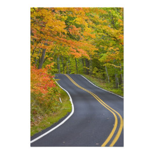 Colourful maple trees in autumn line scenic photo print