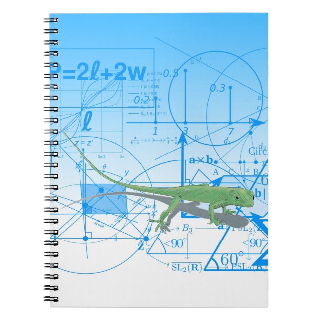 Colourful Math Equations Geometric Designs Lizard Notebook (Front)