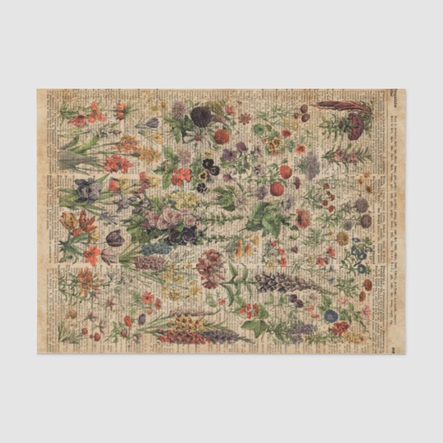 Colourful Meadow Flowers Herbs Dictionary Art Tissue Paper (Front)