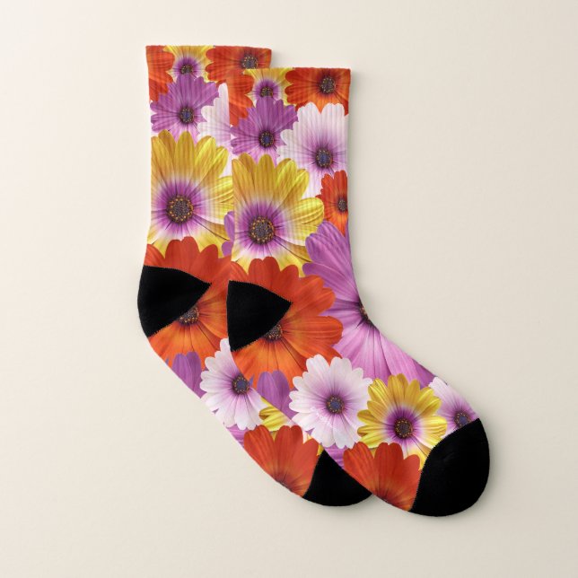 Colourful Medley of African Daisies Flowers Socks (Pair)