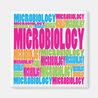 Colourful Microbiology Magnet