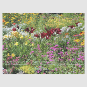 Colourful Mid Summer Gardens! Tissue Paper