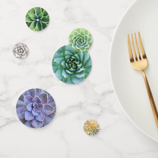 Colourful Mix of  Succulents Confetti (Group)