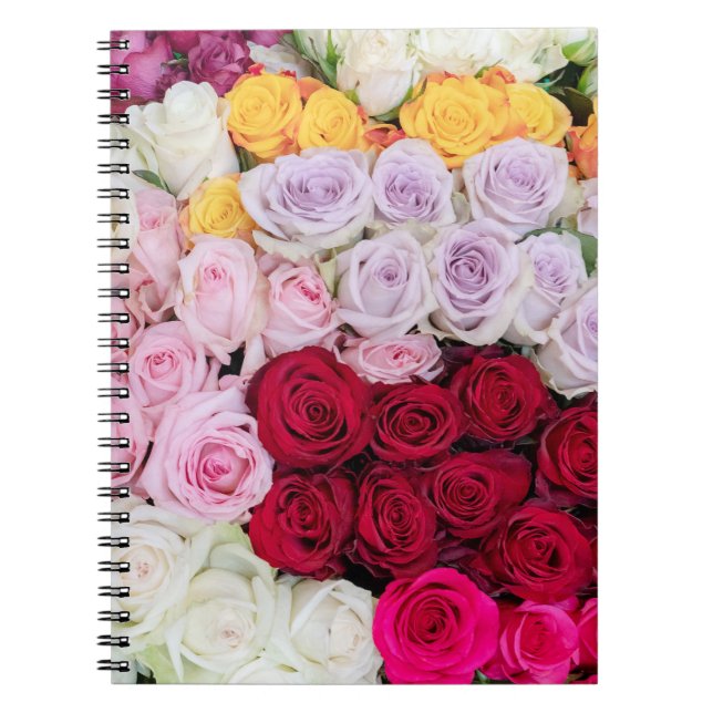 Colourful Mixed Roses Notebook (Front)