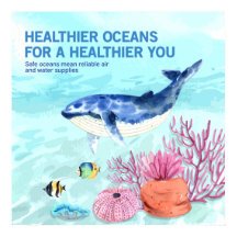 Colourful Modern Protect Marine Life Quote