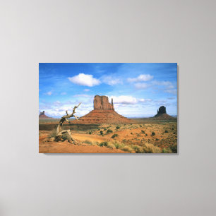 Colourful Monument Valley Mittens in Utah USA Canvas Print
