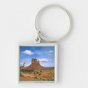 Colourful Monument Valley Mittens in Utah USA Keychain