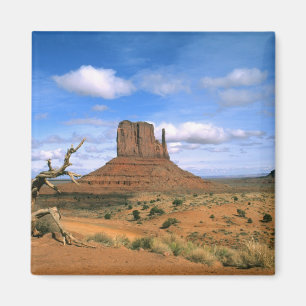 Colourful Monument Valley Mittens in Utah USA Magnet