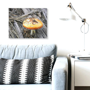 Colourful Mushroom Busting Through Dirt Canvas Print