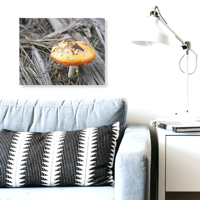 Colourful Mushroom Busting Through Dirt Canvas Print (mushroom photograph canvas print)