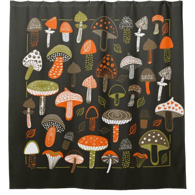 Colourful Mushrooms: Fairy Collection (Front)