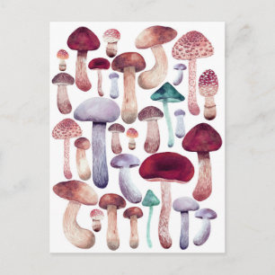 Colourful  Mushrooms Watercolor illustration   Postcard