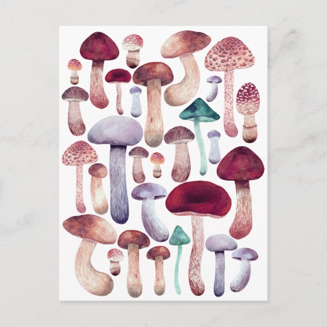 Colourful  Mushrooms Watercolor illustration   Postcard (Front)