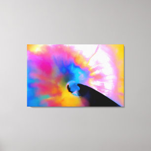 Colourful Nautilus Canvas Print