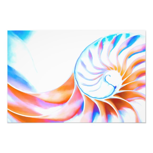Colourful Nautilus Photo Print (Front)