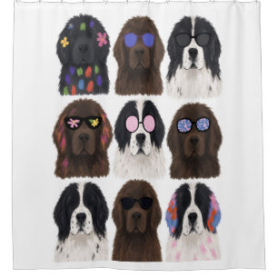 Colourful Newfoundlands (Black, Brown, Landseer)