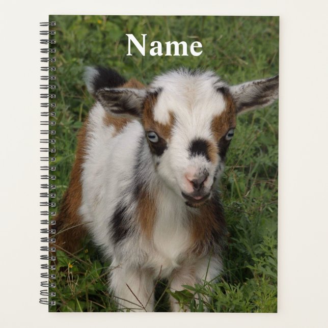 Colourful Nigerian Dwarf Dairy Goat Kid Planner (Front)