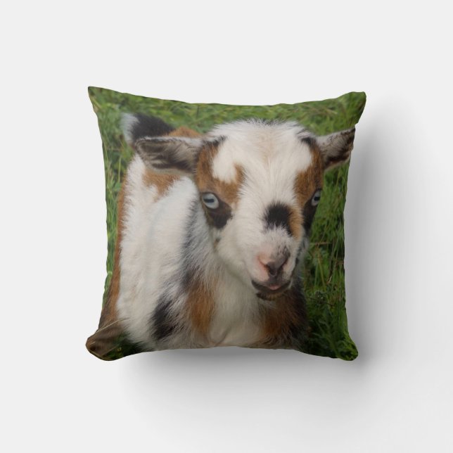 Colourful Nigerian Dwarf Goat Kid with Blue Eyes Throw Pillow (Front)
