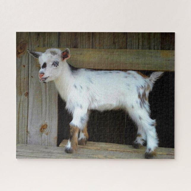 Colourful Nigerian Dwarf Goat with Blue Eyes Jigsaw Puzzle (Horizontal)
