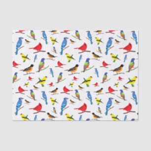 Colourful North American Birds Pattern Napkins Tissue Paper
