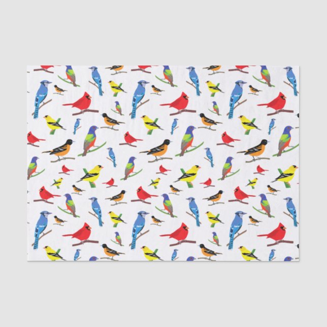 Colourful North American Birds Pattern Napkins Tissue Paper (Front)
