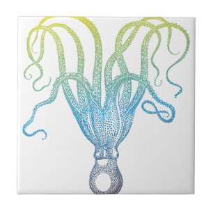 colourful octopus silhouette tile