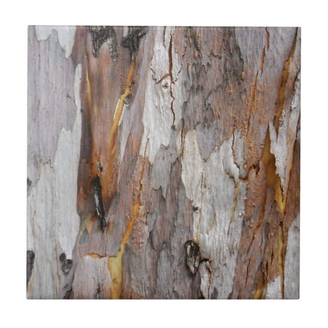 Colourful old tree bark texture tile (Front)