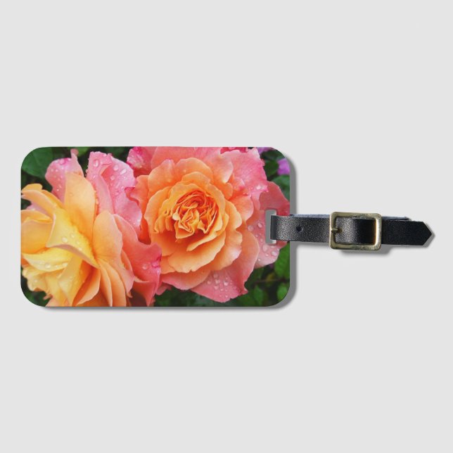 Colourful ombre roses photo luggage tag (Front Horizontal)