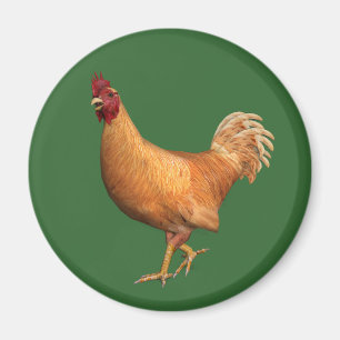 Colourful Orange Rooster Magnet