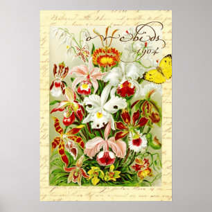 Colourful Orchids and yellow butterfly Poster