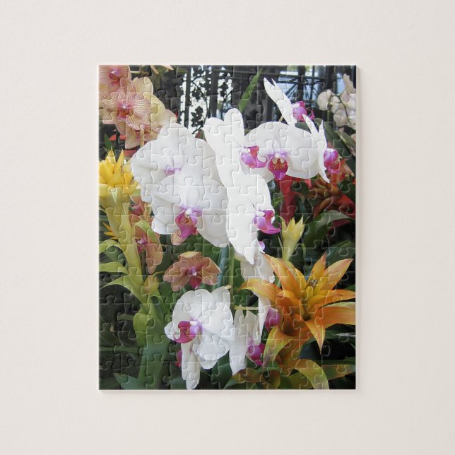 Colourful Orchids Jigsaw Puzzle (Vertical)