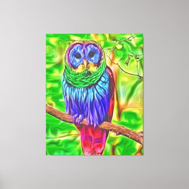 Colourful Owl  Canvas Print (Front)