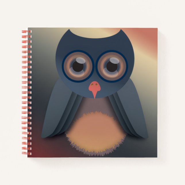 Colourful Owl Notebook (Front)