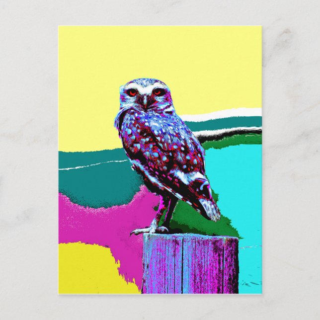 Colourful Owl on a post Posterization Postcard (Front)