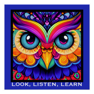 Colourful Owl  Poster