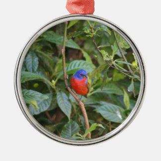 Colourful Painted Bunting Bird Metal Ornament