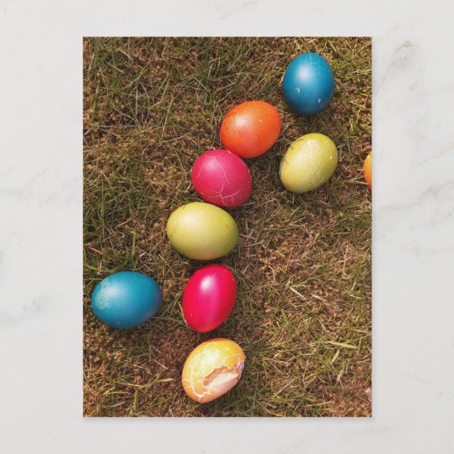 Colourful Painted Eggs in Garden, Easter Egg Holiday Postcard (Front)