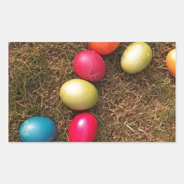 Colourful Painted Eggs in Garden, Easter Egg Sticker (Front)