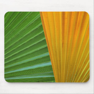 colourful-palm-leaves by Petr Kratochvil mousepad