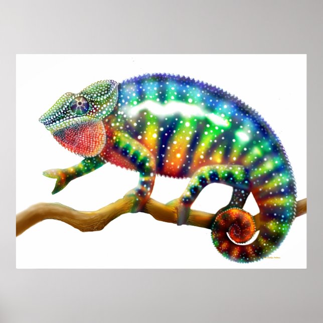 Colourful Panther Chameleon  Print (Front)