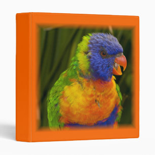 Colourful parakeet binder